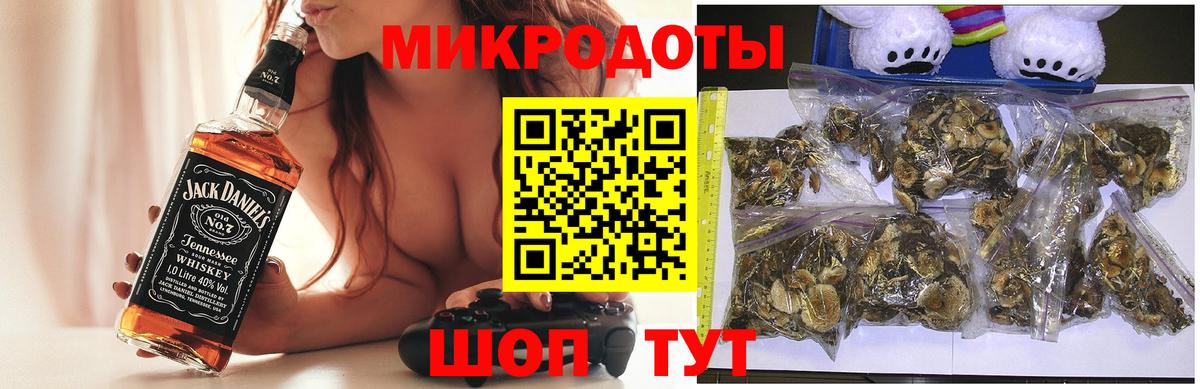 Псилоцибиновые грибы мицелий Рассказово